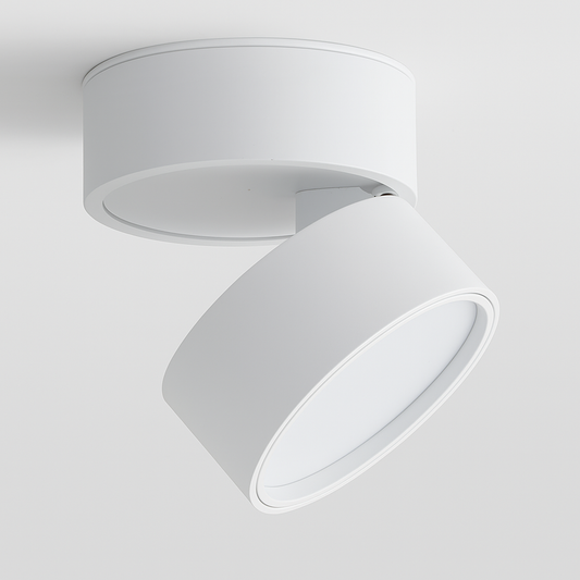 Mirevault - Ceiling Lamp