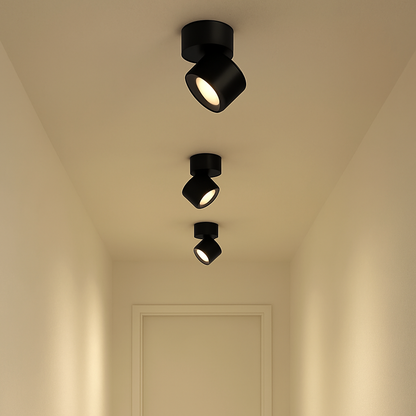 Mirevault - Ceiling Lamp